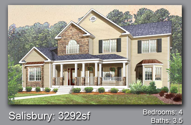 House Project