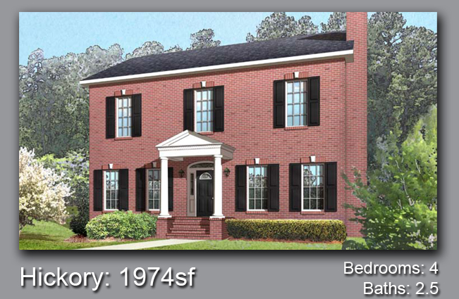 House Project