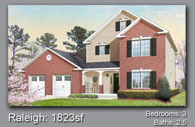 House Project