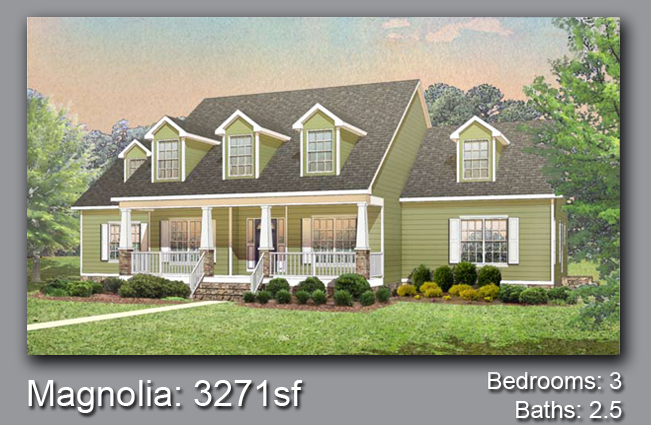 House Project