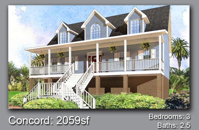House Project
