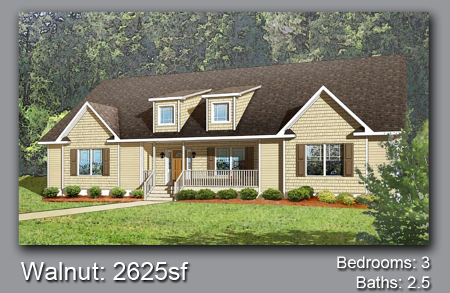 House Project