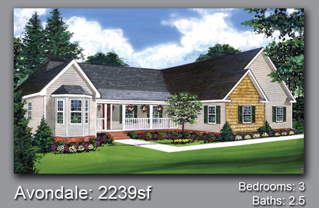 House Project
